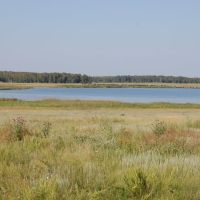 Озеро, Камышное