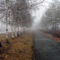 Утренний туман, Ленинское