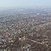 Almaty, Turksib district, Baum Grove, view from airplane / г. Алматы, Турксибский район, Роща Баума, вид с самолёта, Орджоникидзе