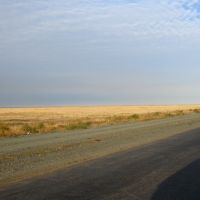 Бескрайняя Казахская степь, Щербакты