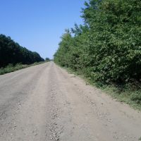 Плохая дорога, Соколовка