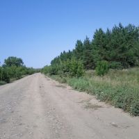 Плохая дорога, Соколовка