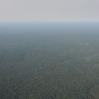 Aerial View, Equatorial Forest, Боко