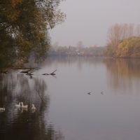 Медвенский пруд, Большая Владимировка