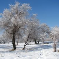 В  нашем парке зима ..., Текели