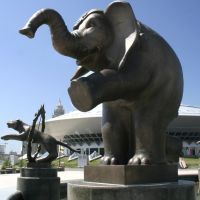 Слон, Астана