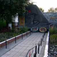 Памятник погибшим в ВОВ, Вишневка