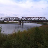 Мост, Жалтыр