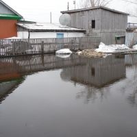 Уютный пруд без лебедей, Макинск