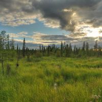 Канада Вуд-Баффало Экологический туризм, Медикин-Хат
