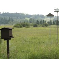 Bird Houses, Kerry Wood Nature Centre, Ред-Дир