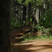 Red Shale Deer Trail, Ред-Дир