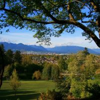 Looking over "the Couv" from Queen Elizabeth Park, Vancouver B.C., Ванкувер