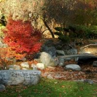 Japanese Garden in Autumn, Polson Park, Вернон