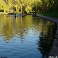 By the pond, Вернон