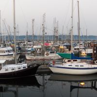 Campbell River. Hafen_100815, Кампбелл-Ривер