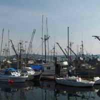 0434_Campbell River. Hafen_100815, Кампбелл-Ривер