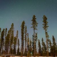 Starry night sky at Co-op Lake, Коквитлам