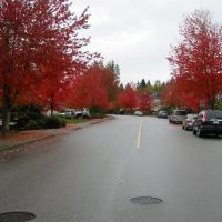 Fall in Parkside Dr., Порт-Муди