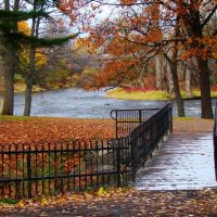 Pont des îles du Parc Woodyatt en automne, Драммондвилл