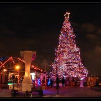 L`arbre de Noël a Sherbrooke, Шербрук