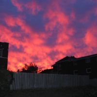 Red Western Night Sky, Броквилл