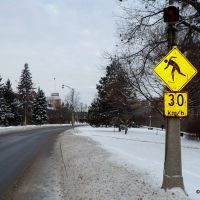 Road ice ahead - "Skating strongly recommended", Оттава