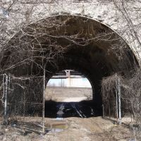 Train Tunnel, Пикеринг