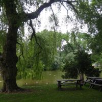 Canopy of Trees, Стратфорд