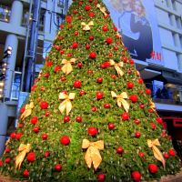 Swarovski Christmas tree ---Eaton Centre, Торонто