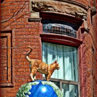 Cat on a globe, Kensington Market, D. Hlynsky- S. Yanover 2000. If you walk with your head high, you may see it!, Торонто