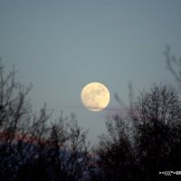 Full moon over Dease Street, Тундер Бэй