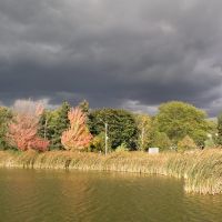 Oakbank Pond in Fall, Торнхилл