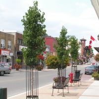 Main St Newmarket, Ньюмаркет