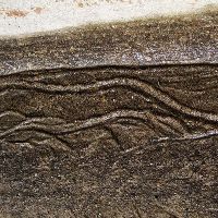 Curb Earthworm Art on Pinnacle Trail, Aurora, Ontario, Ньюмаркет