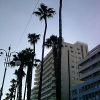 Finikoudes-Larnaca promenad, Ларнака