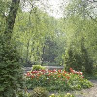 Aptekarskiy Ogorod (Botanical garden MSU). Tulips. May 2007. — Аптекарский огород (Ботанический сад МГУ). Тюльпаны. Май 2007., Покровка