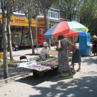Street vendors, Sovietskaya Street, Bishkek, Kyrgyzstan,, Бишкек