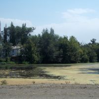 Озерцо, Фрунзе
