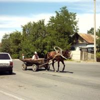 Pferdewagen in Kara-Balta, Кара-Балта