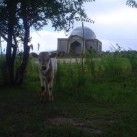 Mosque near Issyk Kul, Чолпон-Ата