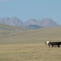 Steppe, Kyrgizstan, Дюрбельджин