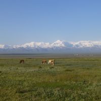 View from Sary-Tash, Kyrgyzstan, Сары-Таш
