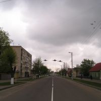 Улица Ленина, Береза