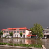 Площадь после дождя (After The Storm), Береза