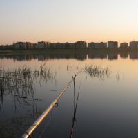 На озере (On The Lake), Береза Картуска