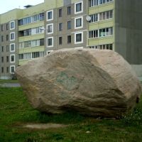 Вялікі камень, Береза Картуска