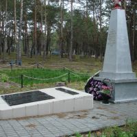 Памятник расстрелянным евреям (весна 2007г.), Домачево