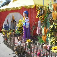 Kobryn Harvest Festival (11), Кобрин