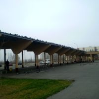 Платформы аўтавакзала, Кобрин